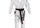 Обзор ГИ (кимоно)
