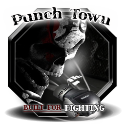 Fightwear - официальный дистрибьютер PunchTown в России