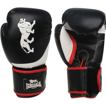 Боксерские перчатки Lonsdale