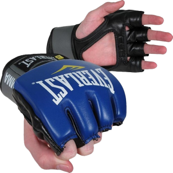 ММА перчатки Everlast Pro Style Grappling