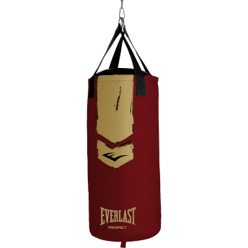 Боксёрский мешок Everlast Prospect 2