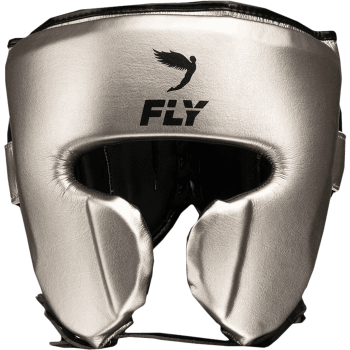 Шлем Fly Knight X Silver/Black