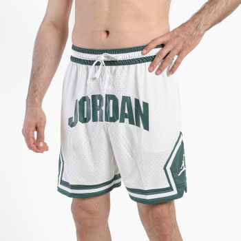 Спортивные шорты Nike Jordan FV8612-100