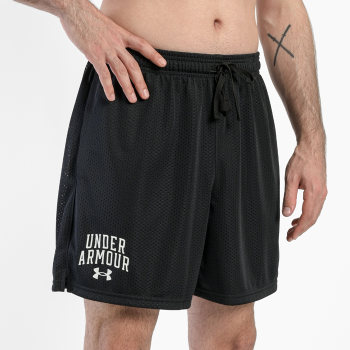 Спортивные шорты Under Armour Training 031 1386112