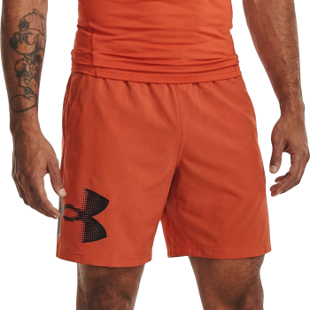 Спортивные шорты Under Armour 1390046-847