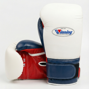 Боксерские перчатки Winning 14 Oz Russia CO-MS-500B