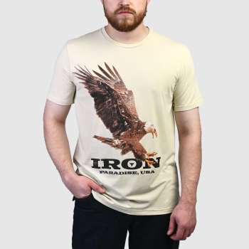 Футболка Under Armour Project Rock Iron Paradise