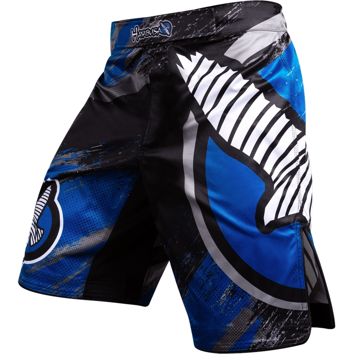 

Шорты MMA Hayabusa, Разноцветный