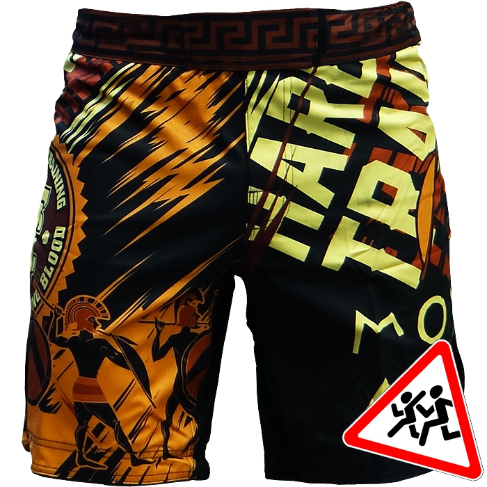 

Шорты MMA Hardcore Training, Разноцветный