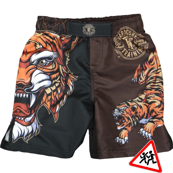 

Шорты MMA Hardcore Training, Разноцветный
