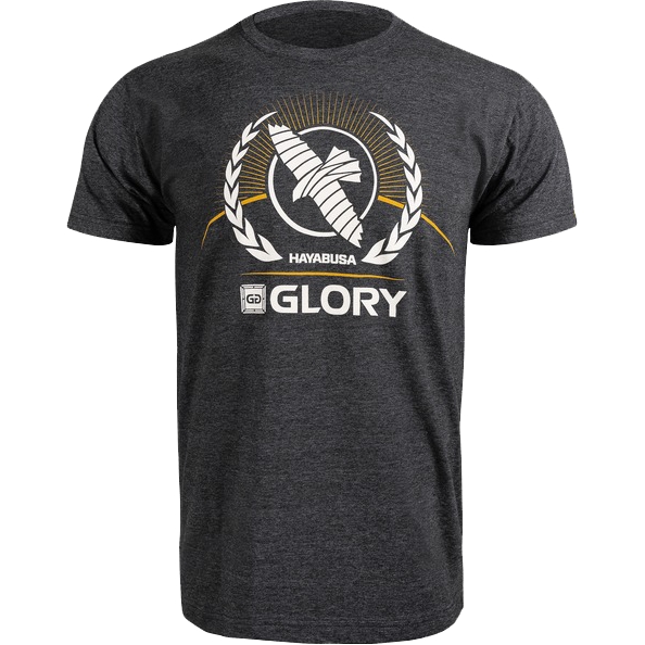 

Футболка Hayabusa, Разноцветный