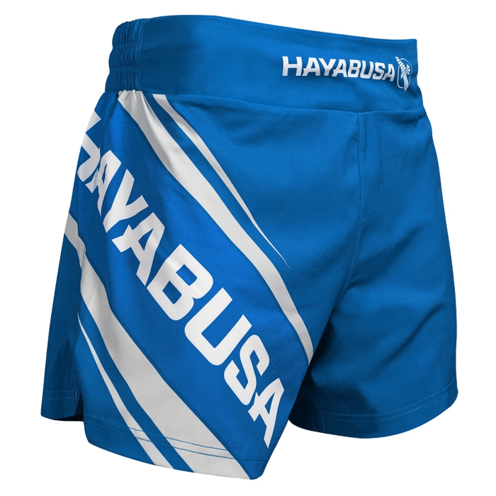 

Шорты MMA Hayabusa, Разноцветный