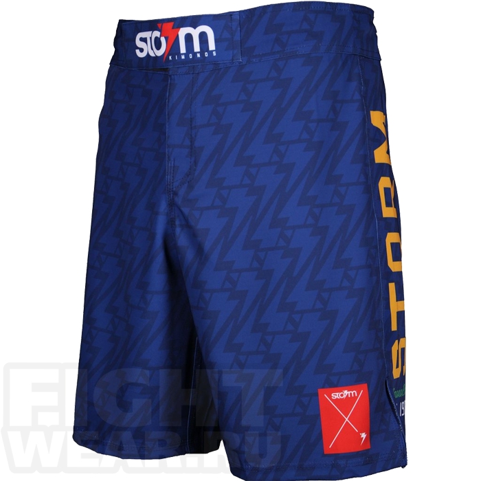 

Шорты MMA Storm, Разноцветный