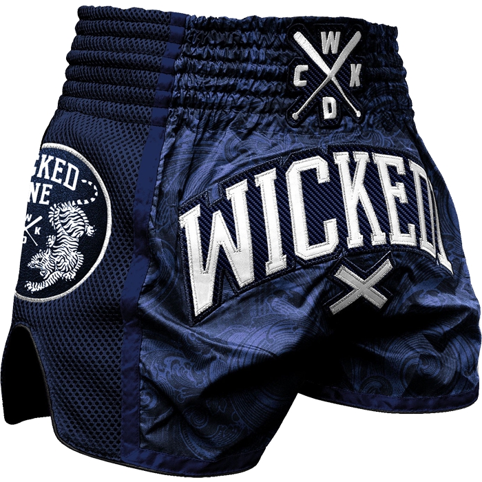 

Бойцовские шорты Wicked One, Разноцветный