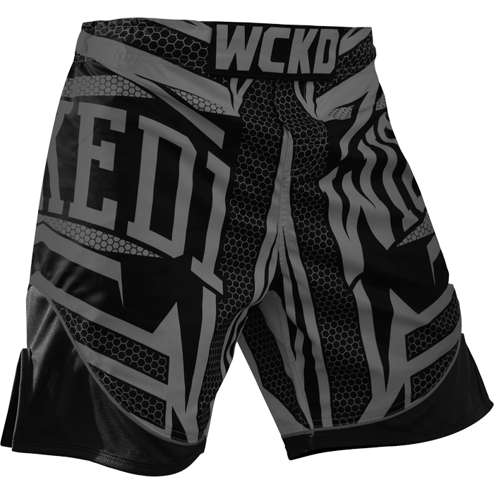 

Шорты MMA Wicked One, Разноцветный