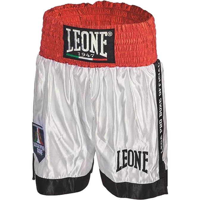

Шорты MMA Leone, Разноцветный