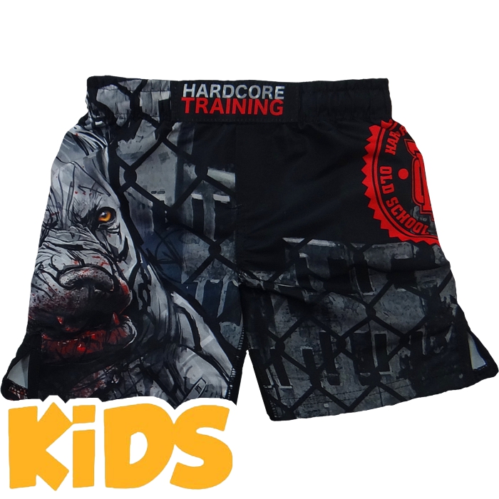 

Шорты MMA Hardcore Training, Разноцветный