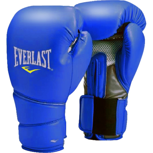 

Боксерские перчатки Everlast, Разноцветный