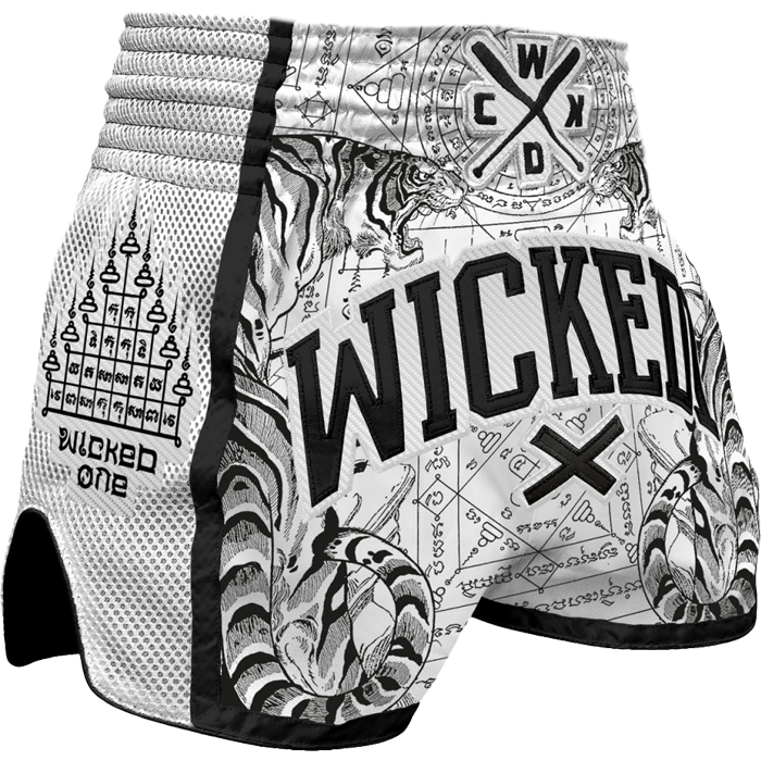 

Бойцовские шорты Wicked One, Разноцветный