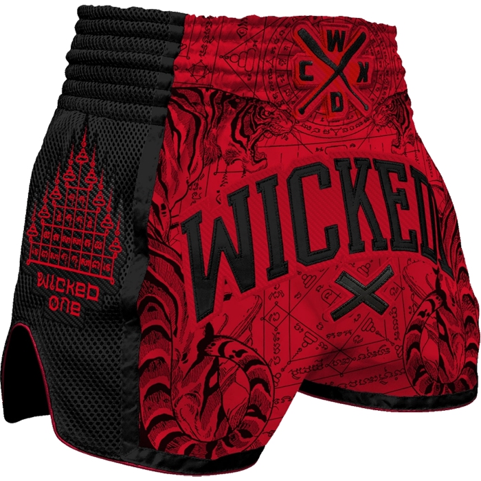

Бойцовские шорты Wicked One, Разноцветный