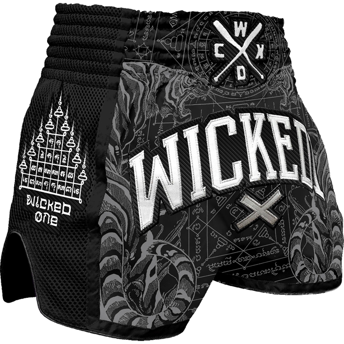 

Бойцовские шорты Wicked One, Разноцветный