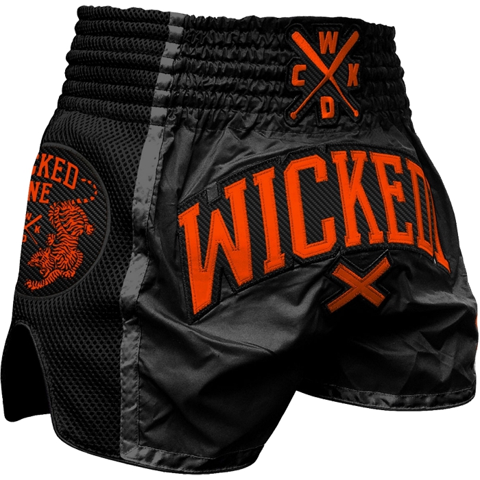 

Бойцовские шорты Wicked One, Разноцветный