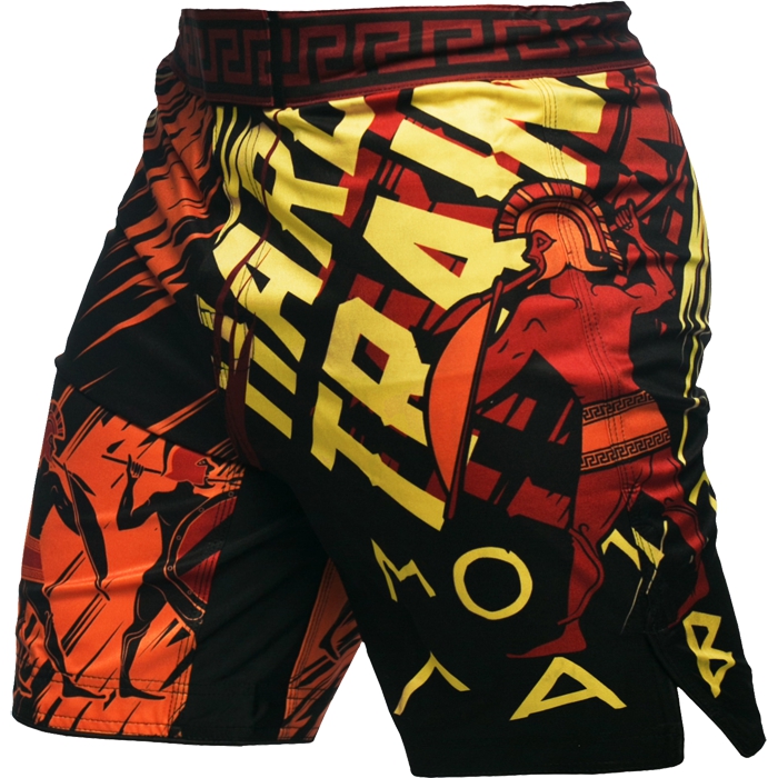 

Шорты MMA Hardcore Training, Разноцветный
