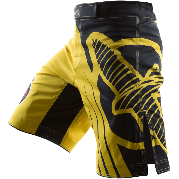

Шорты MMA Hayabusa, Разноцветный