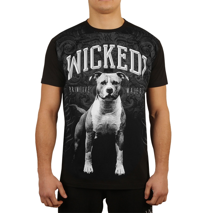 

Футболка Wicked One, Разноцветный