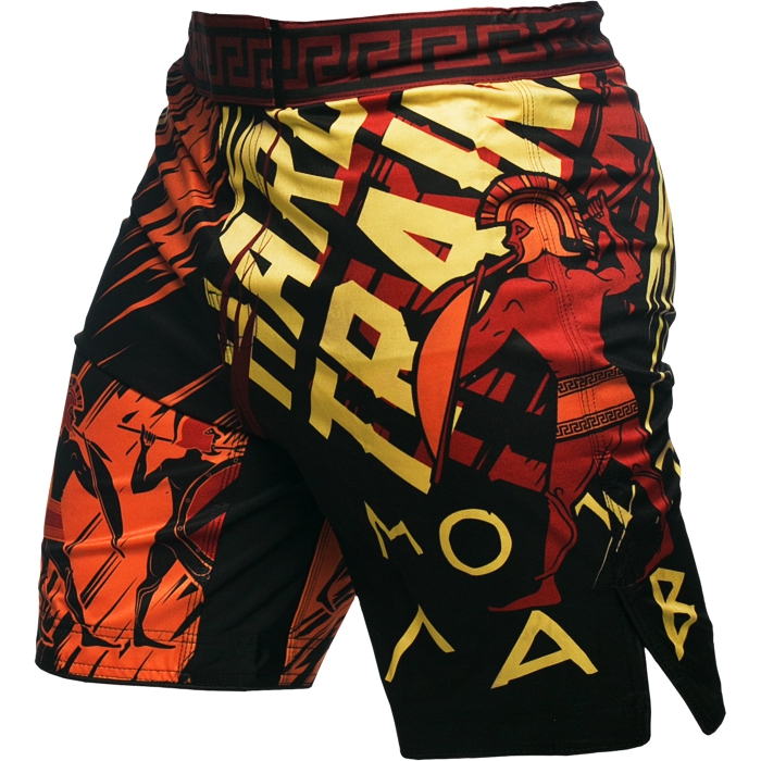 

Шорты MMA Hardcore Training, Разноцветный