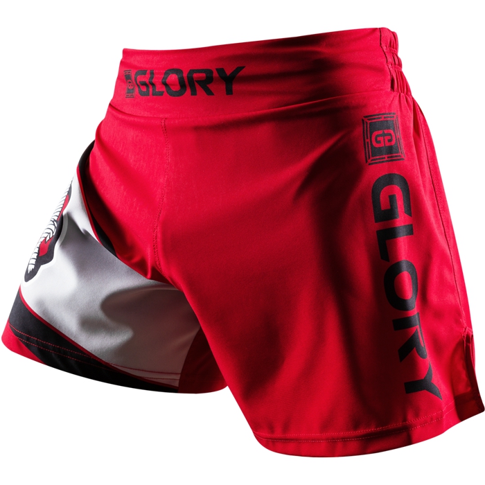 

Шорты MMA Hayabusa, Разноцветный