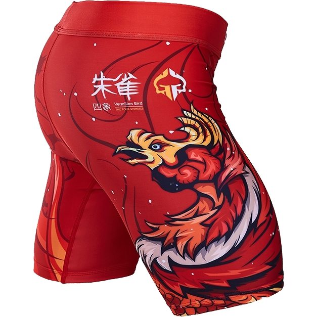 

Шорты MMA Ground Game, Разноцветный