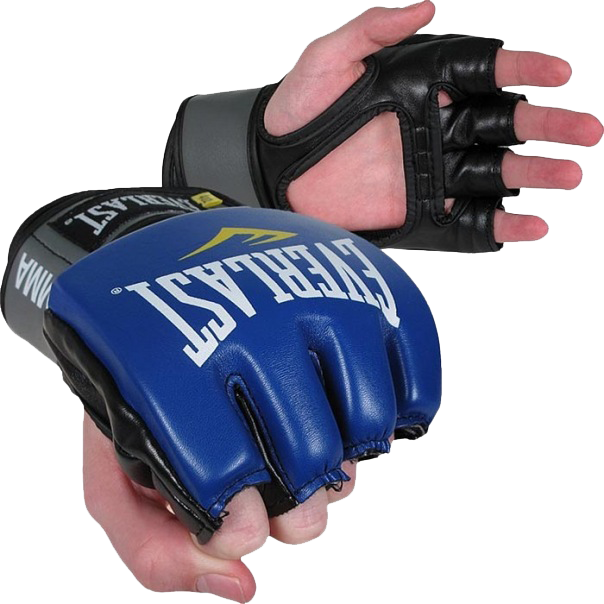 Перчатки Everlast Pro Style Grappling