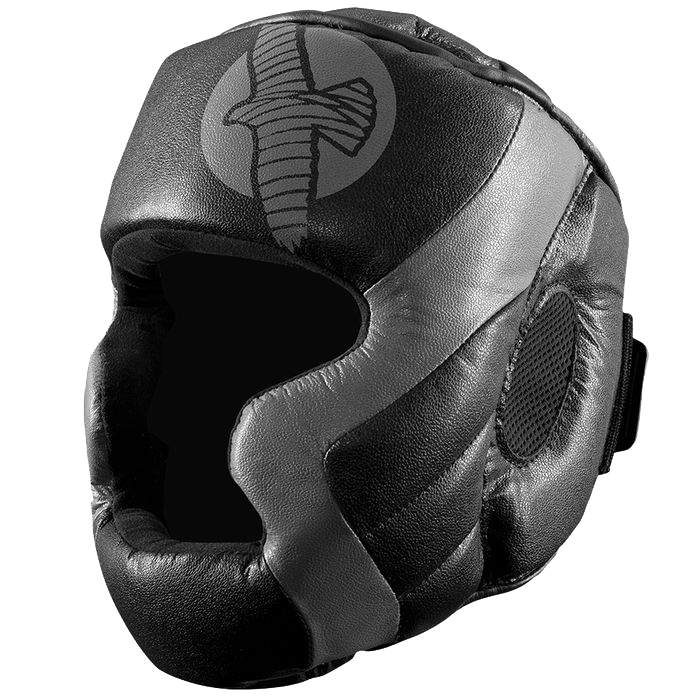 Hayabusa Tokushu REGENESIS