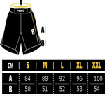 Шорты mma manto fightshorts LOGO RipStop