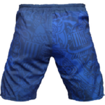 ММА шорты Fightwear Blue
