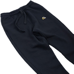 Спортивные штаны Manto Emblem