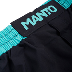 Шорты Manto Logo Dual