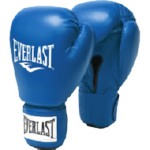 Боксерские перчатки Everlast Amateur Cometition