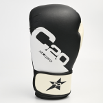 Боксёрские перчатки Starpro C20