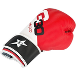 Боксерские перчатки Starpro G30