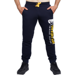 Спортивные штаны Hardcore Training Holmgang Navy