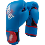 Детские боксерские перчатки Everlast Prospect
