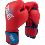 Детские боксерские перчатки Everlast Prospect