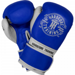 Боксерские перчатки Hardcore Training Premium Blue/White