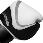 Боксерские перчатки Hayabusa H5 White/Grey