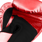 Боксерские перчатки Hardcore Training Essential