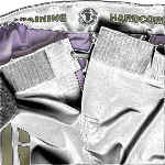 Шорты Hardcore Training Boxing Factory 2