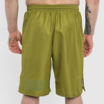 Шорты Hardcore Training Base Olive