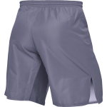 Шорты Hardcore Training Base Gray